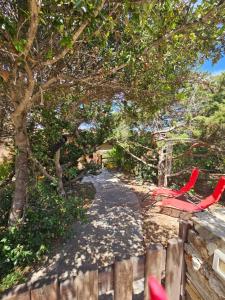 Casa La Pelosa img26