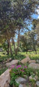Appart'hotels LES BOIS DE ZOLA entre Provence et Luberon : Villa 1 Chambre