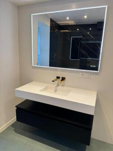 Appartements Spatieux T3 60m2 Annecy - Parking Prive - WIFI - Netflix : photos des chambres