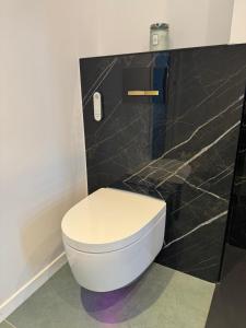 Appartements Spatieux T3 60m2 Annecy - Parking Prive - WIFI - Netflix : photos des chambres