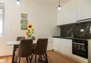 Centrum Apartment Ulcinj