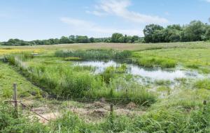Gorgeous Apartment In Nørre Asmindrup
