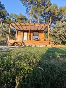 Tiny Mini House - Çakallık