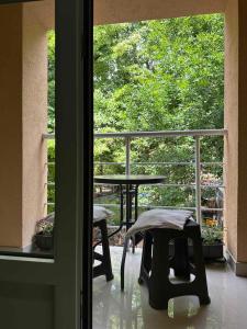 Vila Misljenovic, u centru Sokobanje, na pesackoj zoni