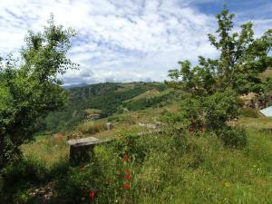 Maisons de vacances Gites de Revirand : photos des chambres