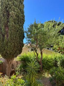 Appartements Vacances bord de mer - Appartement Sanary sur Mer : photos des chambres