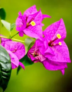 Spain style country house in Cajica - Tabio