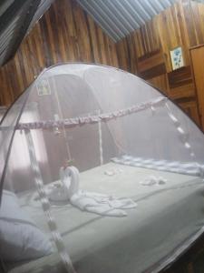 Cabaña Escondida Rio Celeste