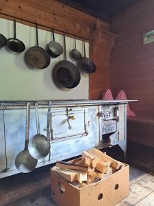 Maxerhütte auf der Alfenalm