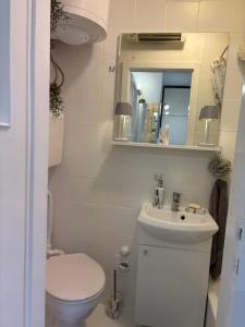 Omiš centar studio apartment