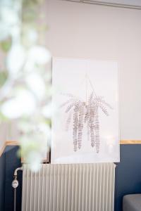 Appartements Villa Vicheia - Appartement 34 : photos des chambres