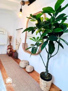 Little Nest - Old Town - Breakfast - Wifi - AC