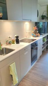 Romantisches Studio in der City Luzern Green
