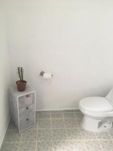 GREEN PARADISE LEONA VICARIO