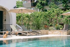 B&B Lovac