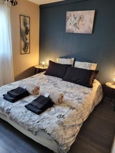 Maison climatisée avec piscine entre Alpilles et Camargue