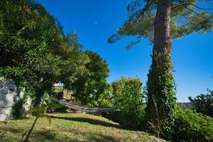 Maisons de vacances 06Q - Biot beautiful provencal villa with swimming pool : photos des chambres