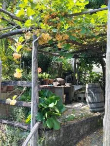 Casa indipendente silenziosa, super relax nel verde a pochi minuti dal mare - Crocetta