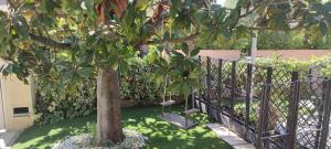 Maisons de vacances Maison T2 Climatisee avec petit jardin dans impasse calme : photos des chambres