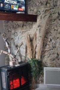 Appartements ADN Chalet & SPA : photos des chambres
