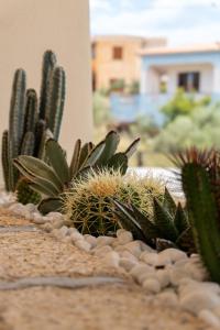 Dicciosu Guest House img20