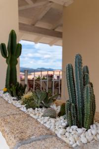 Dicciosu Guest House img40