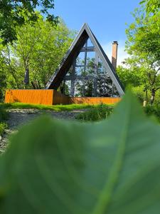 Cabana NucA-Frame Baia Mare