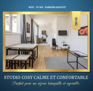 STUDIO COSY - HYPERCENTRE - CALME - 50M2 - Wi-FI