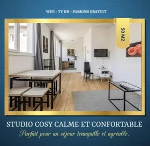 STUDIO COSY - HYPERCENTRE - CALME - 50M2 - Wi-FI - Graulhet
