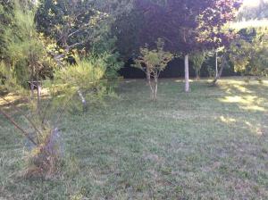 Villas Picherieux : photos des chambres