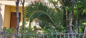 Domus Le Palme