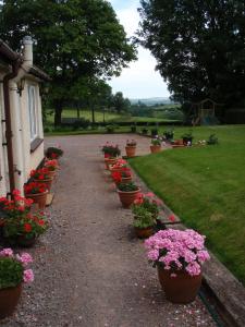 King Room with En Suite  room in Brambles Bed and Breakfast