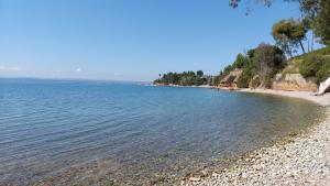 Studios Voula