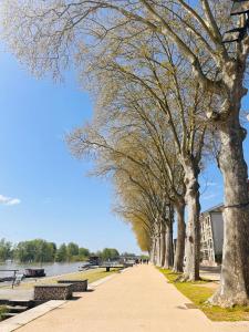 Appartements Orleans Centre - LOVE ROOM - Good Vibes Only BY PRIMO C0NCIERGERIE : photos des chambres