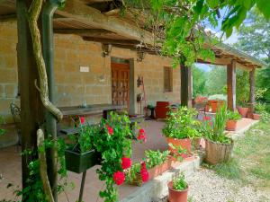 Bio Agriturismo Il Cavone
