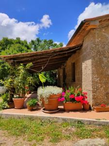 Bio Agriturismo Il Cavone