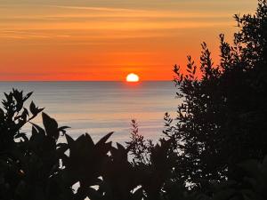 Appartements Un coin de paradis avec vue Mer et jardin : Appartement 1 Chambre