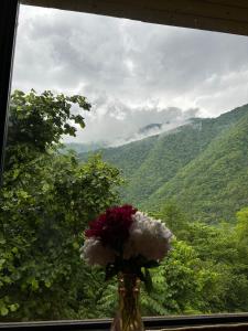 Guest cottage - Nankas house