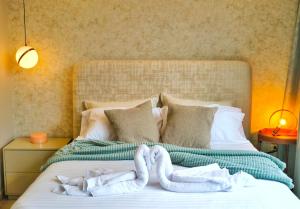 Republica del Salvador Coliving Ecuador XOE