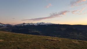 Appartements Vacances a la Campagne 4 etoiles a 30min des pistes de ski Mont Dore Sancy : photos des chambres