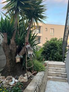 Apartmani MM 