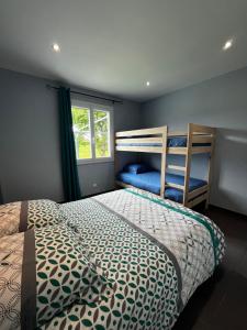 Maisons de vacances Maison 10 personnes avec piscine jacuzzi, proche du PAL : photos des chambres