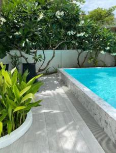 Ton Sai Tropical Phi Phi Island