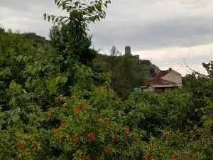 Apartmani Počitelj - Domanovići