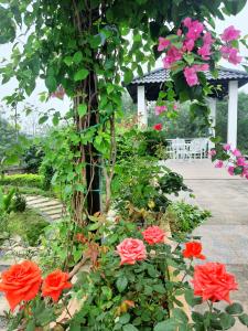 Bens house lương sơn hoà bình