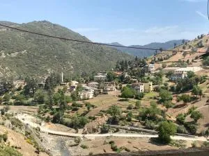 KETAMA feeling - Ketama