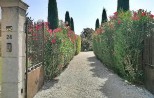 Maisons de vacances Villa Nathis : photos des chambres