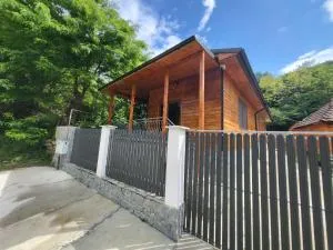 Cabana Beta - Căciulata