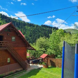 Double Room with Shared Bathroom room in Pensiunea Cabana Viselor