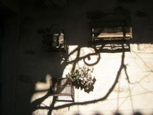 Maisons de vacances Ancien Cafe with roof terrace and balcony : Maison de Vacances 4 Chambres
